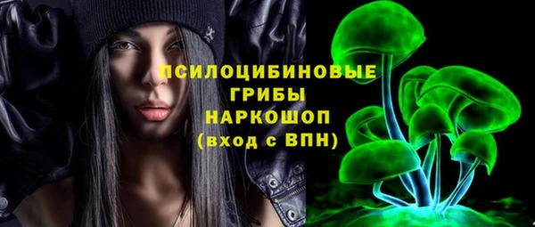 ГАЛЛЮЦИНОГЕННЫЕ ГРИБЫ Алексеевка