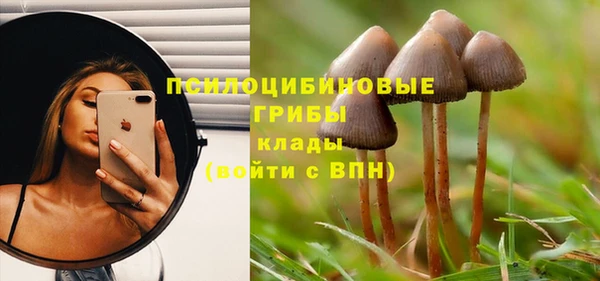 ГАЛЛЮЦИНОГЕННЫЕ ГРИБЫ Алексеевка