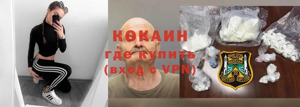 тгк Алзамай