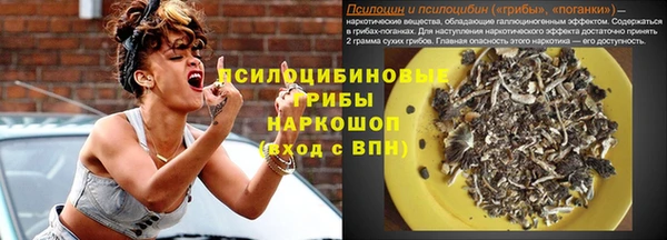 ГАЛЛЮЦИНОГЕННЫЕ ГРИБЫ Алексеевка