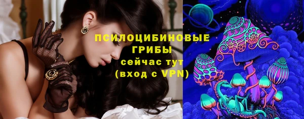 тгк Алзамай