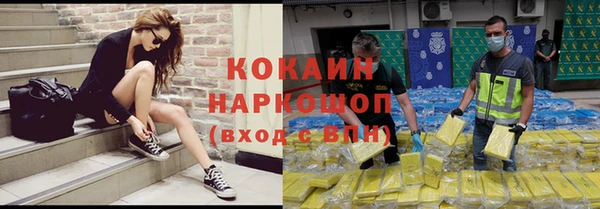 тгк Алзамай