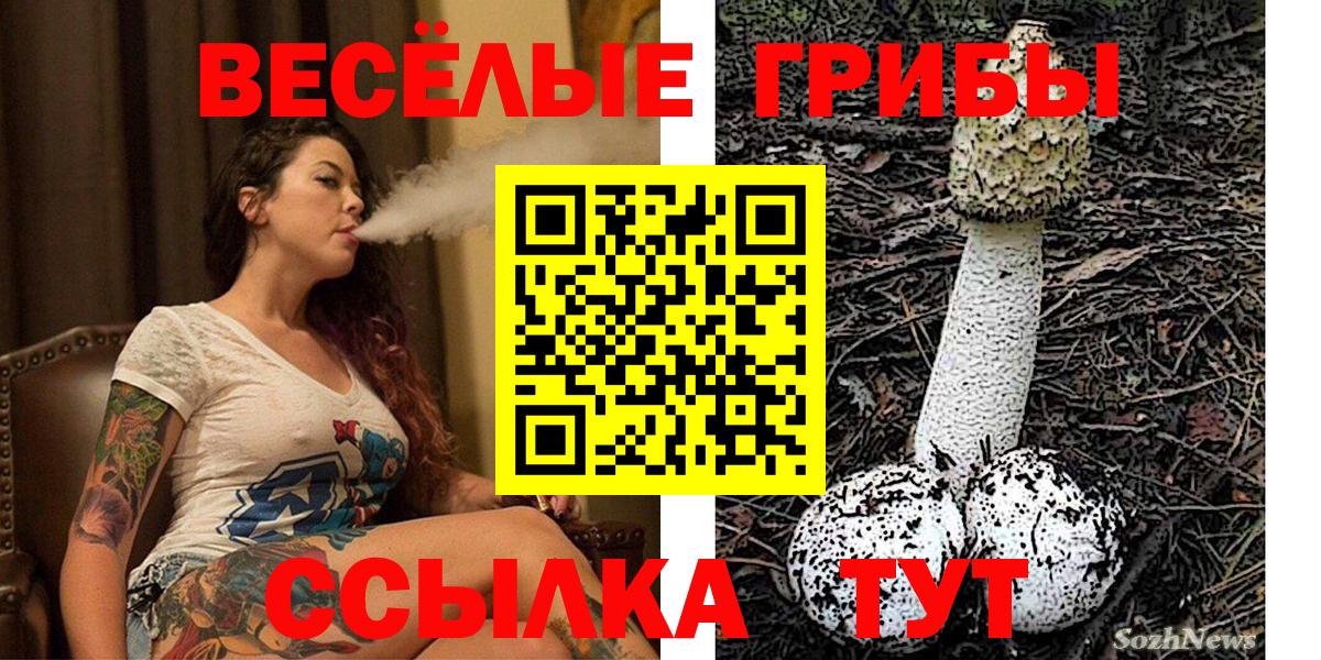Галлюциногенные грибы Psilocybe Лесосибирск