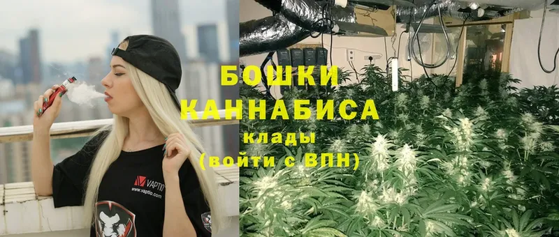 Канабис Amnesia  shop клад  Лесосибирск  гидра онион 